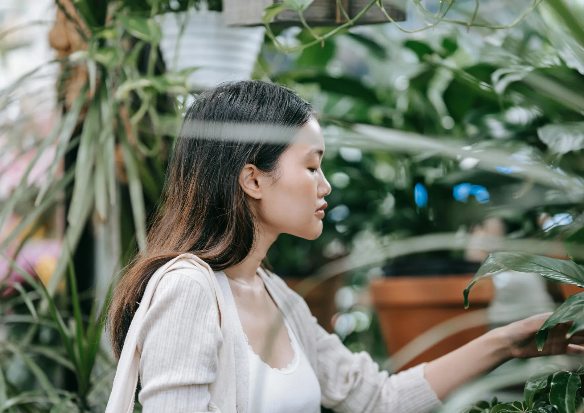 Adapter les soins en fonction des saisons Adapter les soins en fonction des saisons