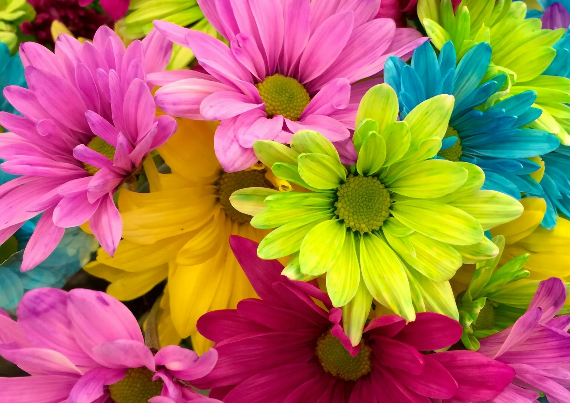 Astuces pour un massif de fleurs durable et attrayant Astuces pour un massif de fleurs durable et attrayant