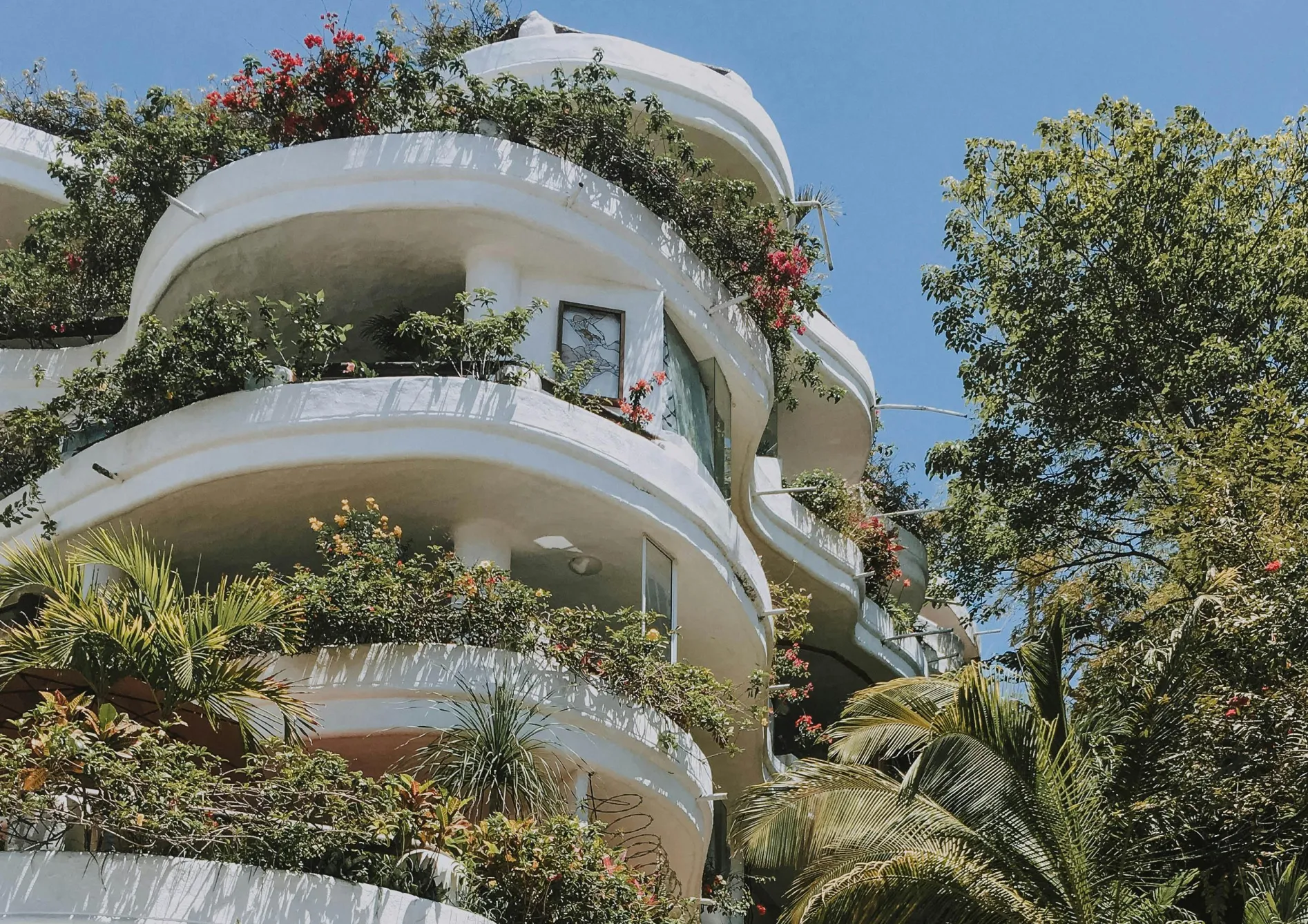 Plante pour balcon Plante pour balcon