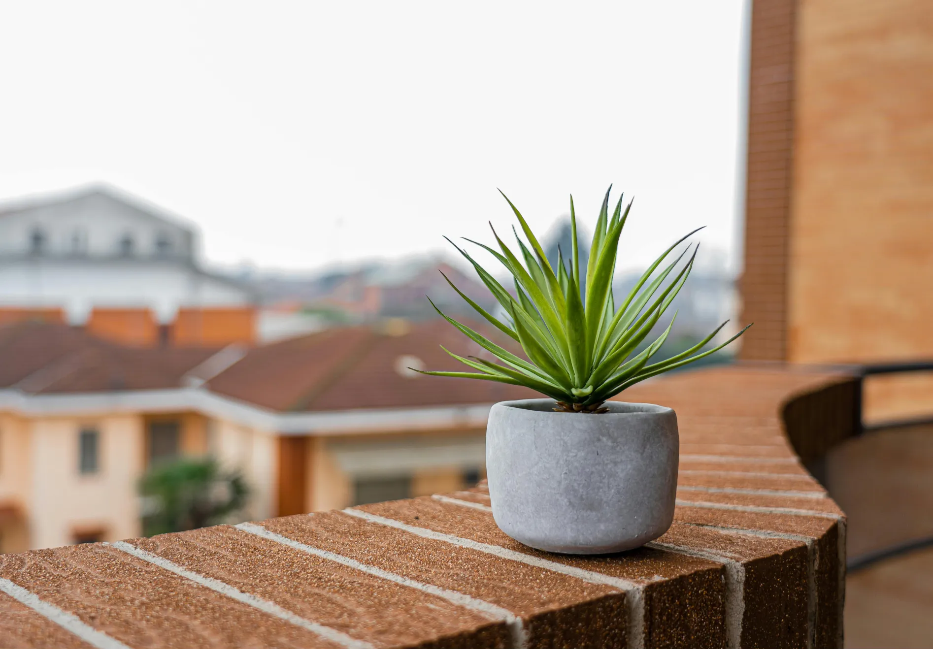 Conseils pour entretenir un balcon fleuri Conseils pour entretenir un balcon fleuri