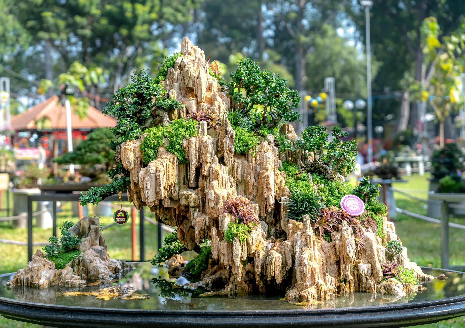 Les styles de bonsaï : Choisir et créer le vôtre Les styles de bonsaï : Choisir et créer le vôtre