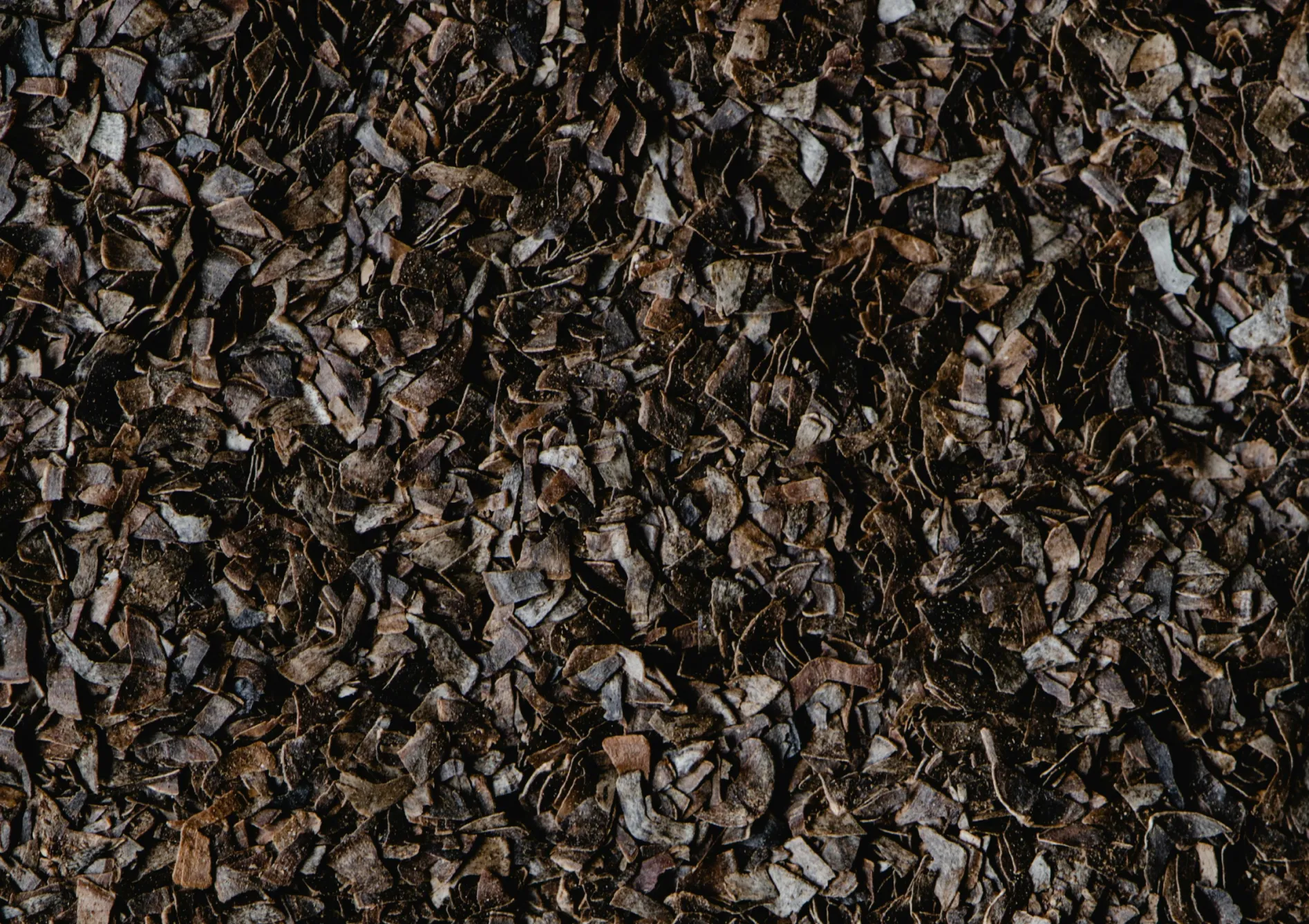 Comment semer et gérer les semences fourragères pour optimiser leur impact sur le sol ? Comment semer et gérer les semences fourragères pour optimiser leur impact sur le sol ?