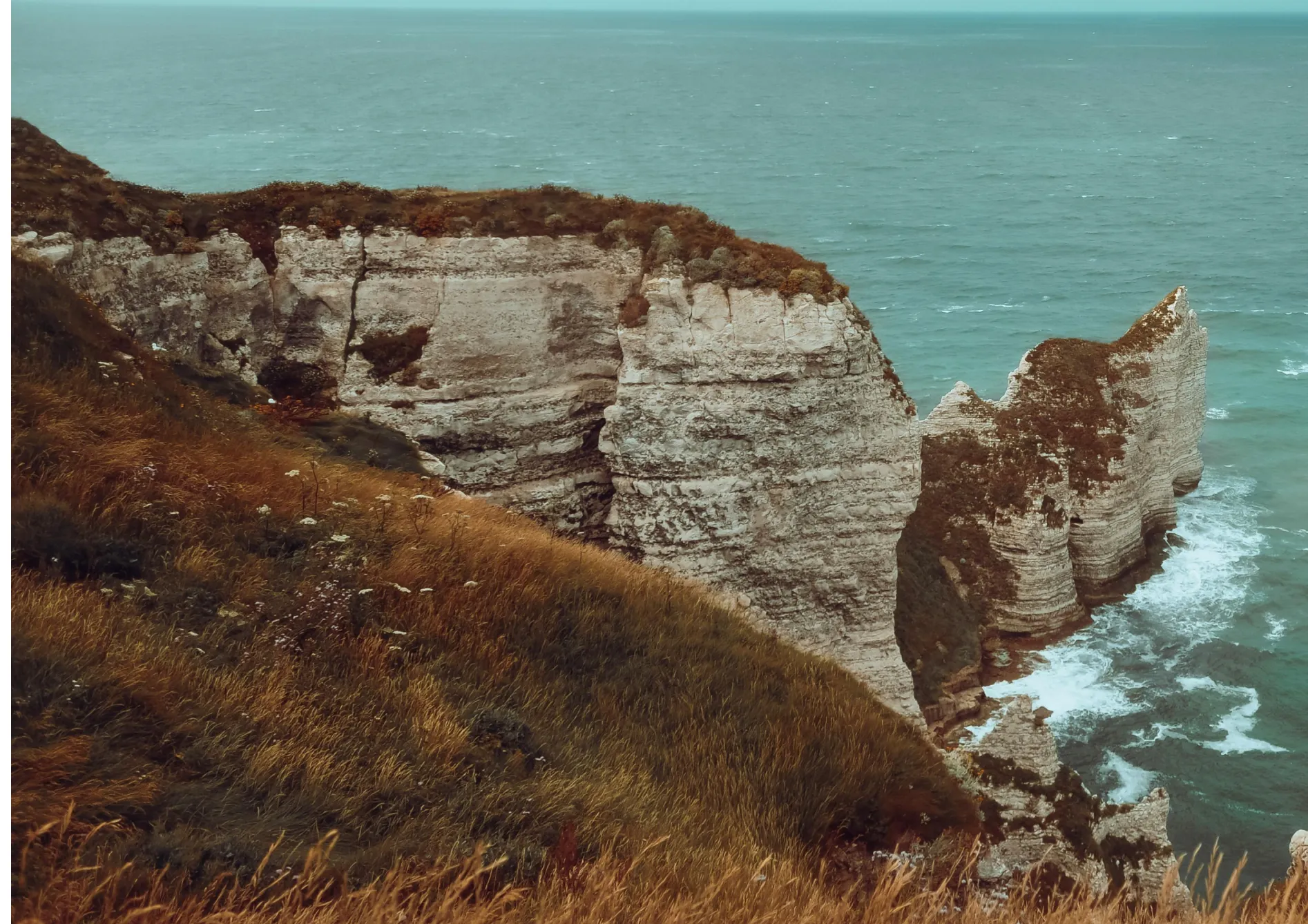 Planification et conception d’un jardin de rocaille Planification et conception d’un jardin de rocaille