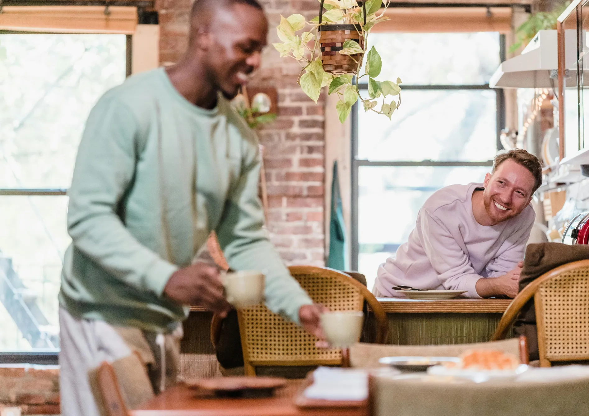 Plantes pour la cuisine Plantes pour la cuisine