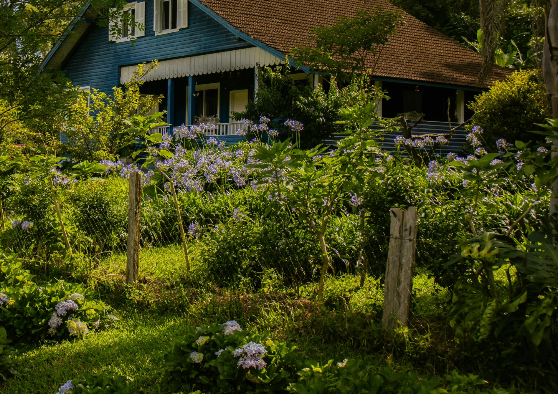 Entretien d’un jardin de rocaille Entretien d’un jardin de rocaille