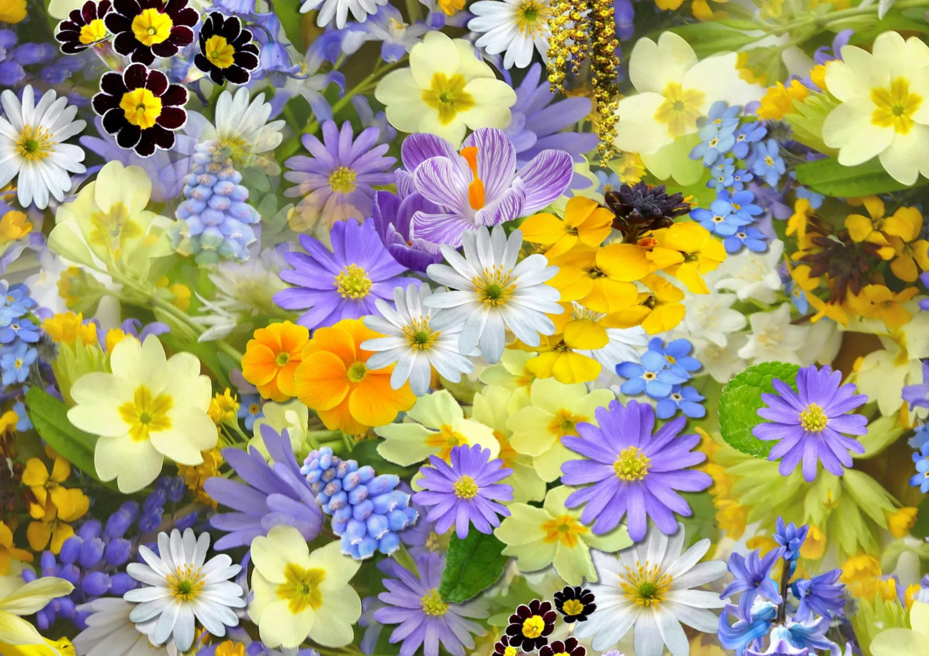 Entretien d'un massif de fleurs durable Entretien d’un massif de fleurs durable