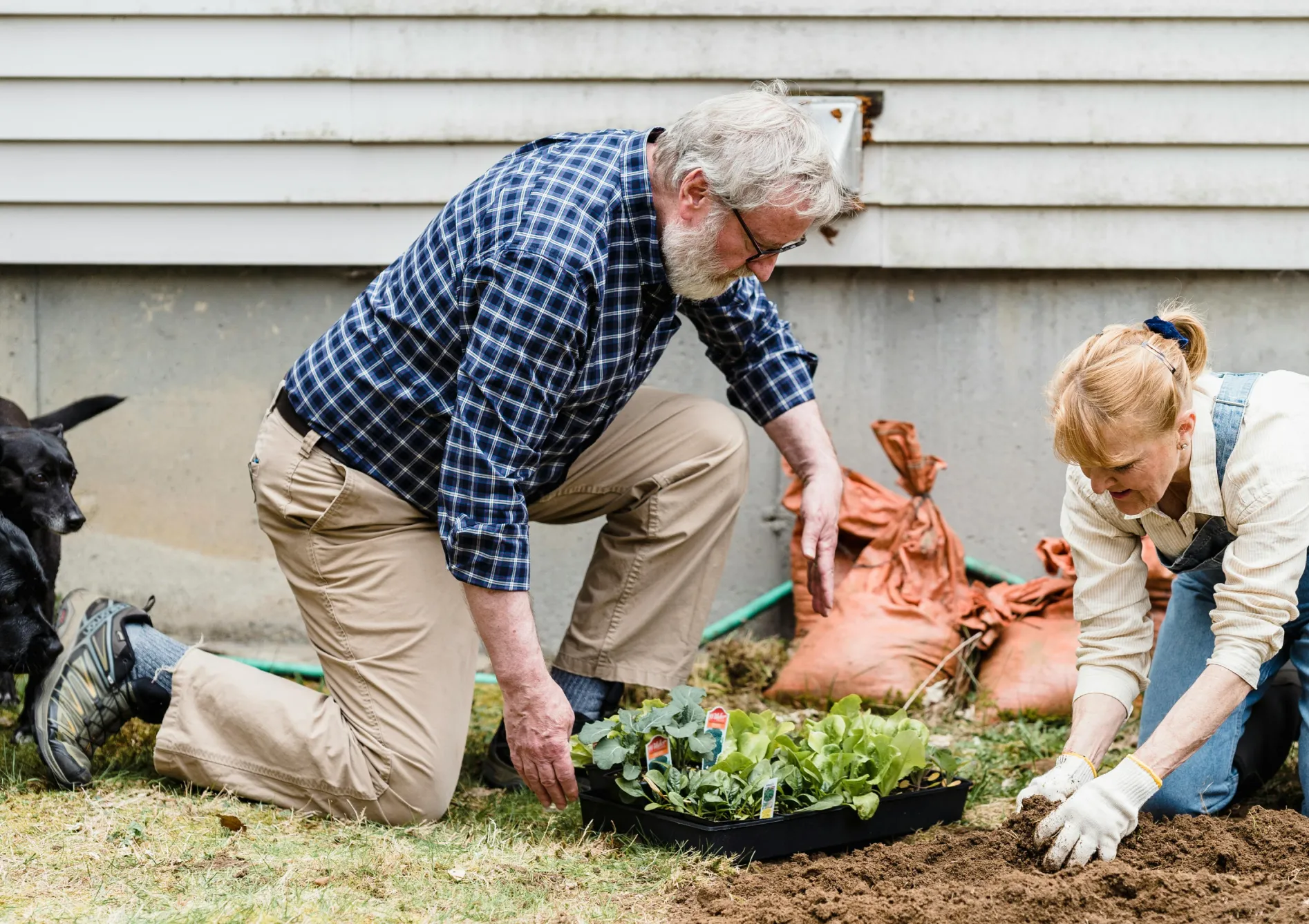 Les étapes clés pour réussir les semis de fleurs Les étapes clés pour réussir les semis de fleurs