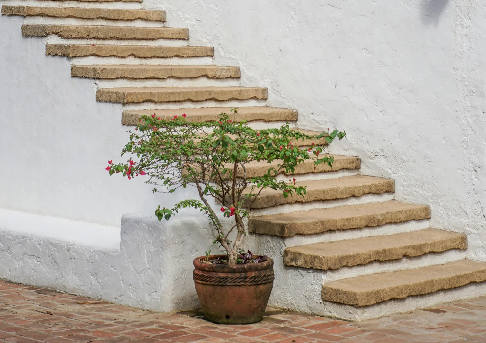 Les éléments essentiels pour un jardin méditerranéen Les éléments essentiels pour un jardin méditerranéen