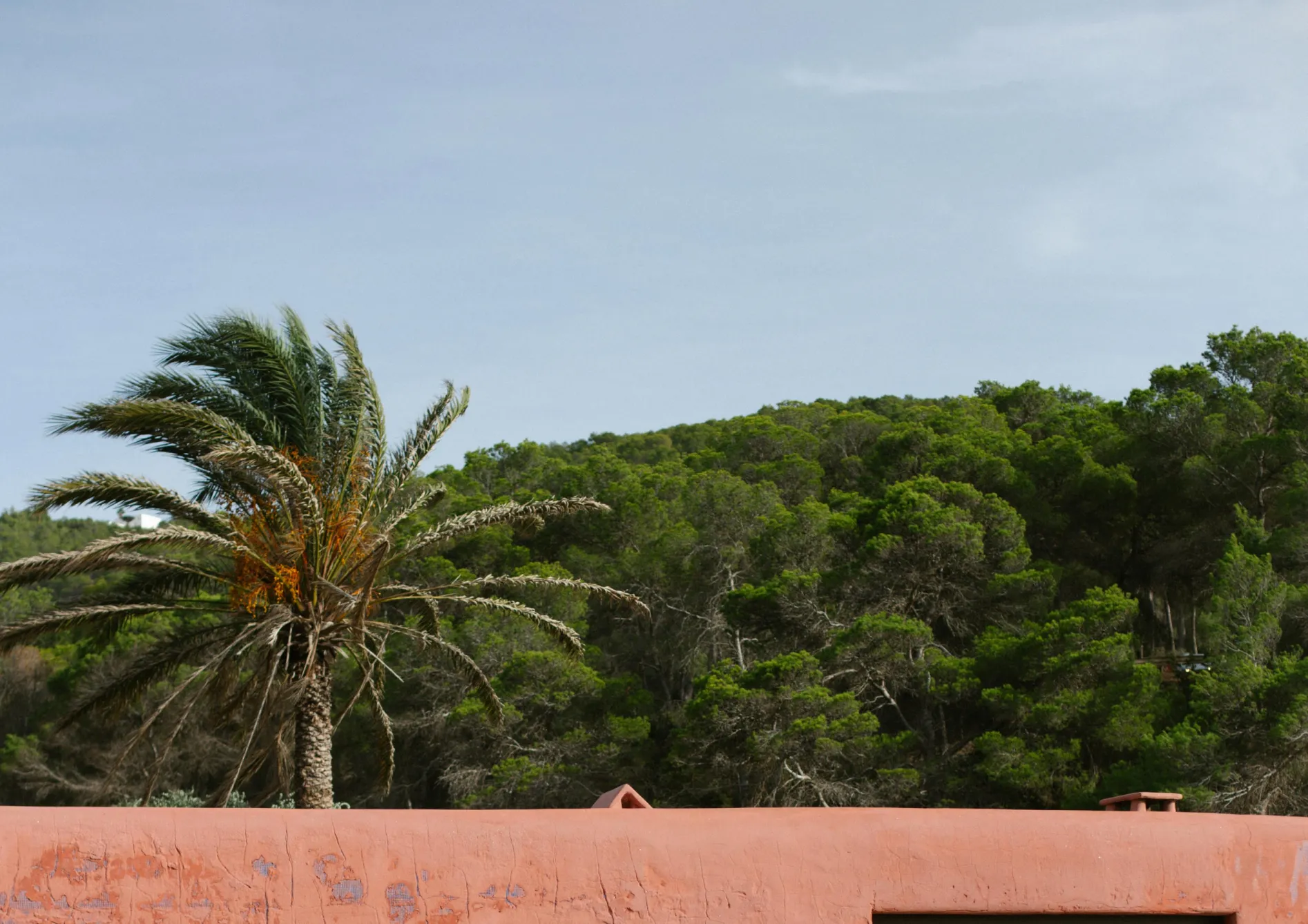 Entretien d’un jardin méditerranéen Entretien d’un jardin méditerranéen