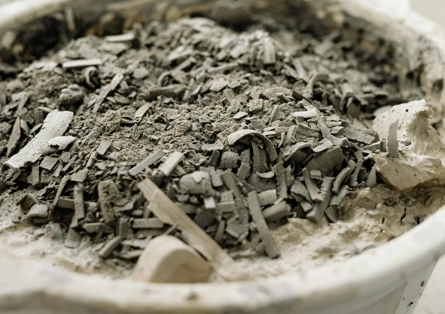 Les meilleures graines d’engrais vert pour l’hiver Les meilleures graines d’engrais vert pour l’hiver