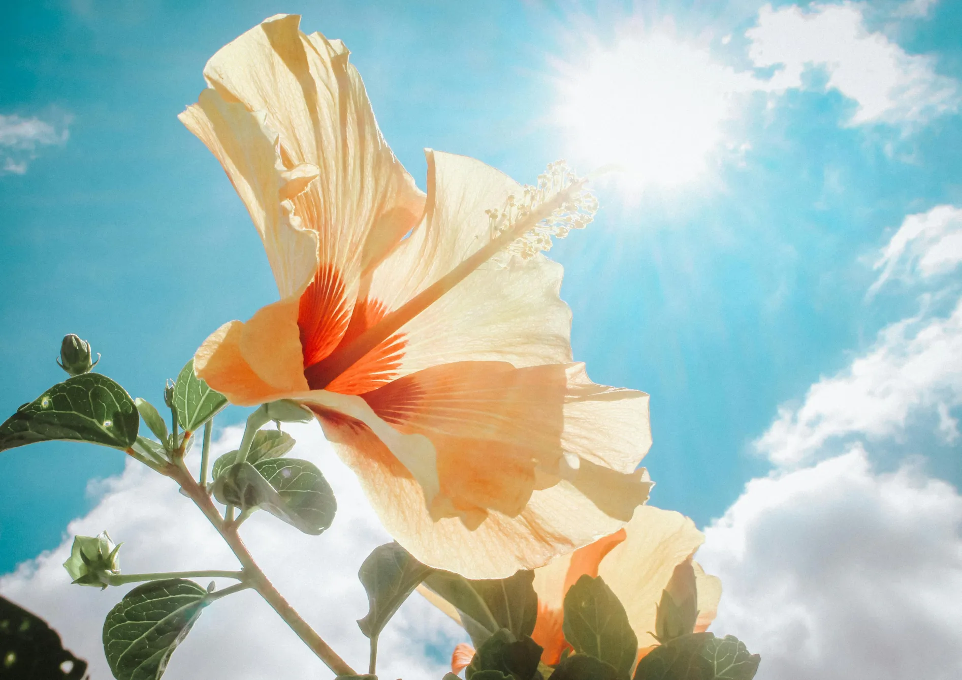 Fournir la lumière adéquate Fournir la lumière adéquate