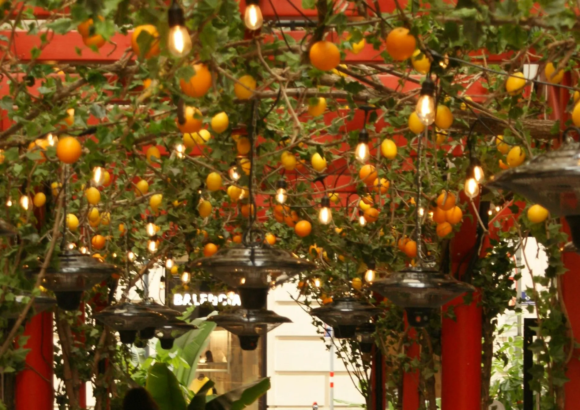 Entretenir une pergola fruitière Entretenir une pergola fruitière