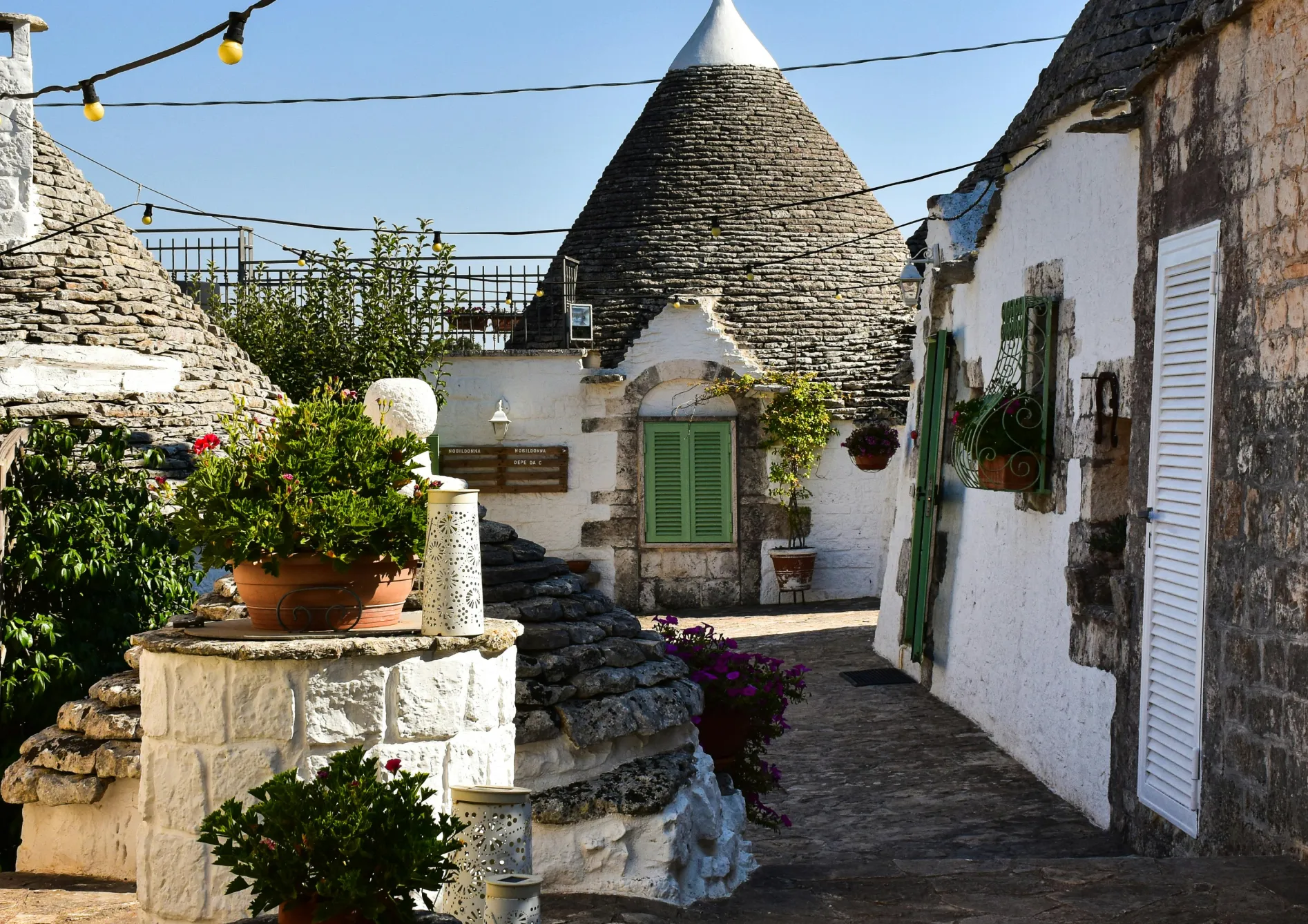 Les meilleures plantes pour un jardin de rocaille Les meilleures plantes pour un jardin de rocaille