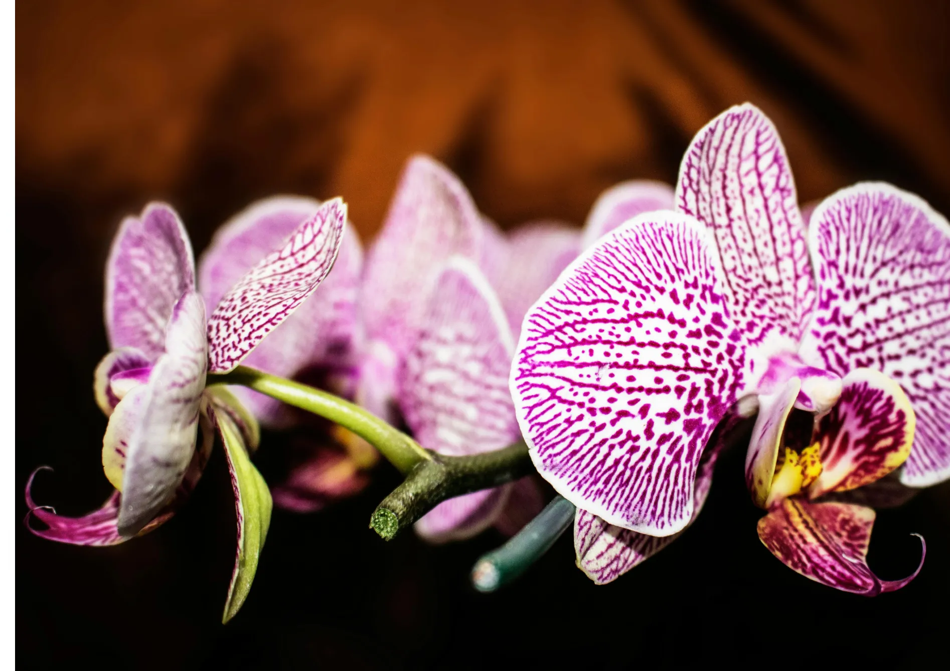 Adapter vos soins en fonction des saisons Adapter vos soins en fonction des saisons