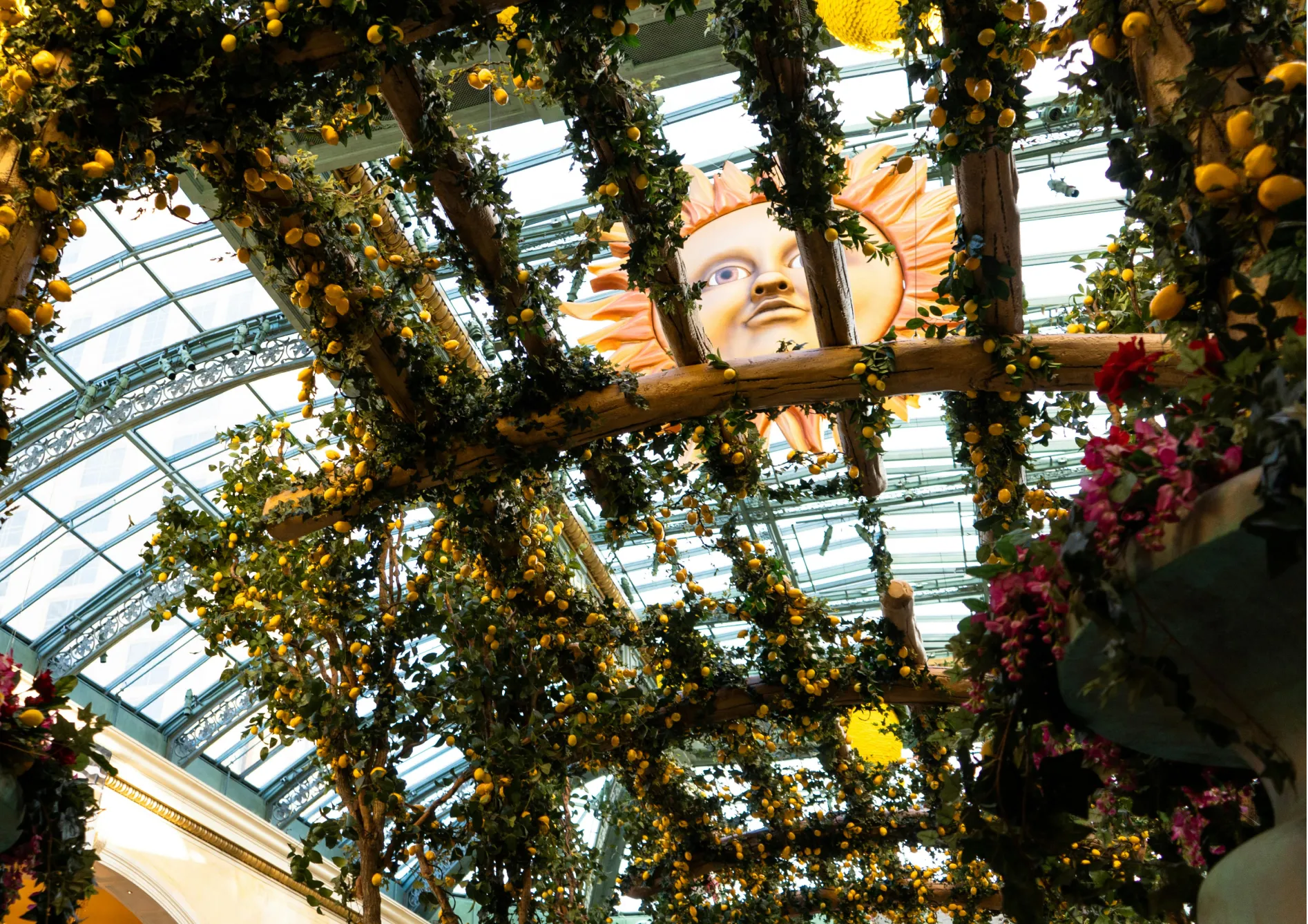 Pourquoi créer une pergola fruitière ? Pourquoi créer une pergola fruitière ?