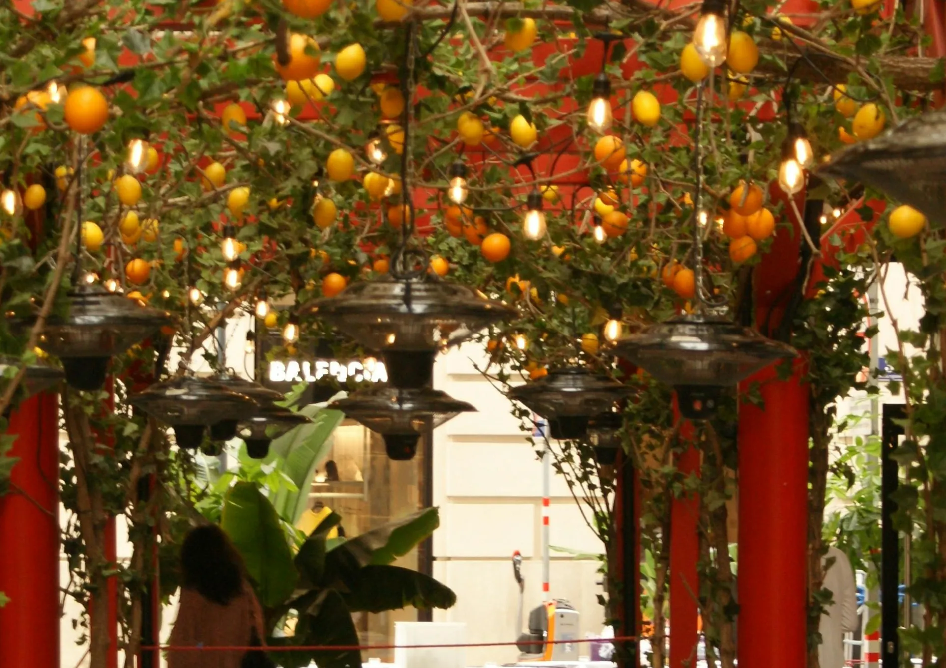 Protéger les plantes grimpantes des maladies et ravageurs Protéger les plantes grimpantes des maladies et ravageurs