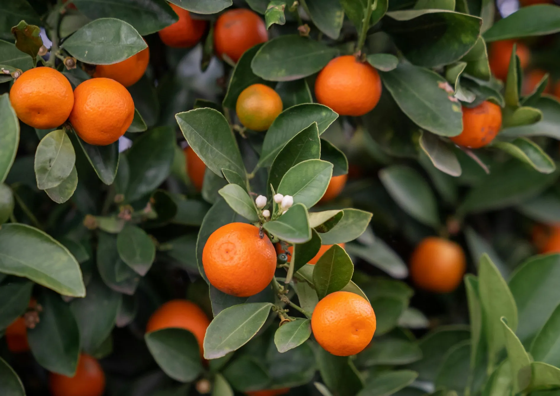 Astuces supplémentaires pour maximiser votre espace Astuces supplémentaires pour maximiser votre espace