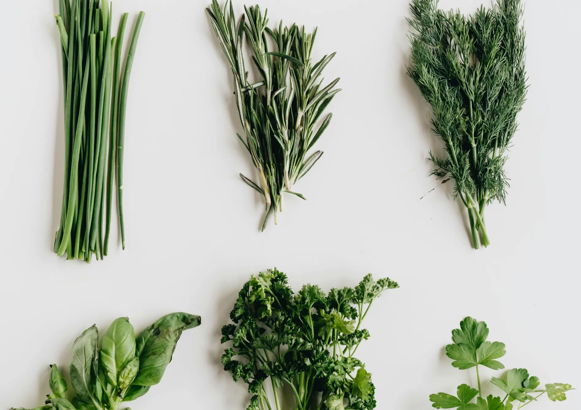 Conseils pour réussir la culture des plantes aromatiques en pot Conseils pour réussir la culture des plantes aromatiques en pot