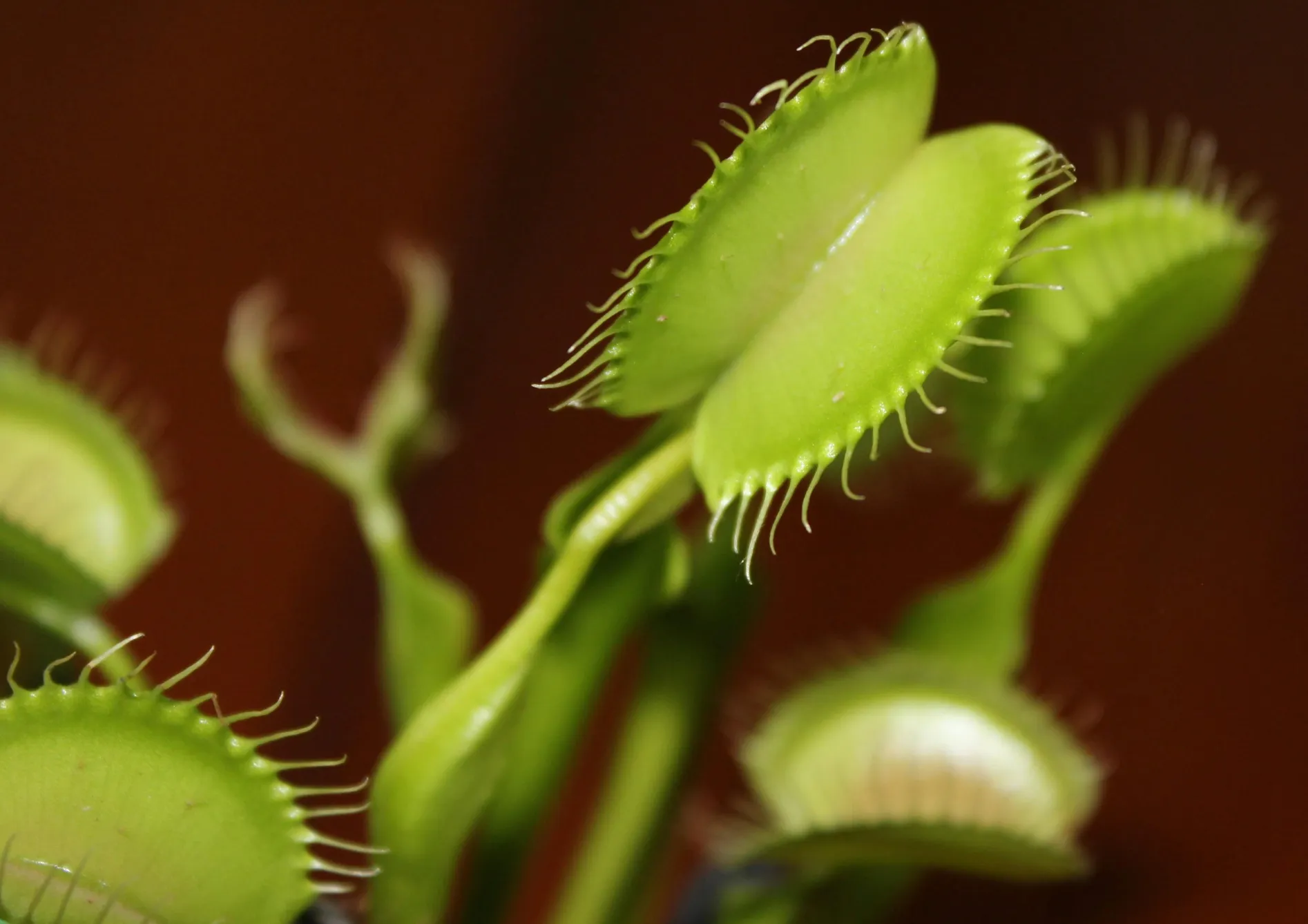 Problèmes courants et solutions Problèmes courants et solutions