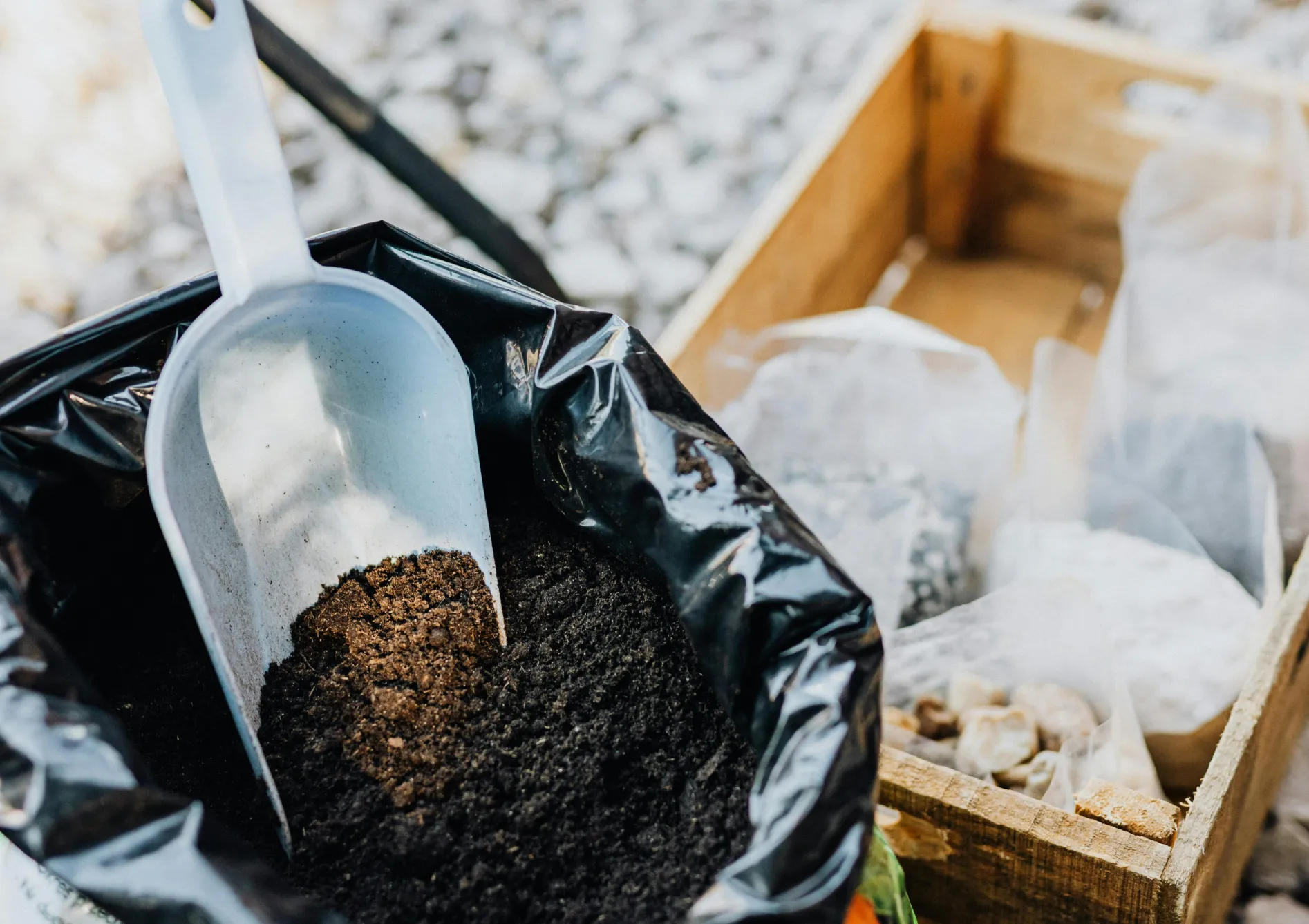 Pourquoi utiliser l’engrais vert selon les saisons ? Pourquoi utiliser l’engrais vert selon les saisons ?