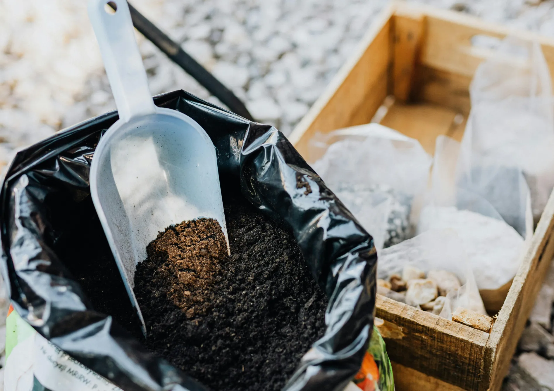 Pourquoi utiliser des graines d'engrais vert ? Pourquoi utiliser des graines d’engrais vert ?