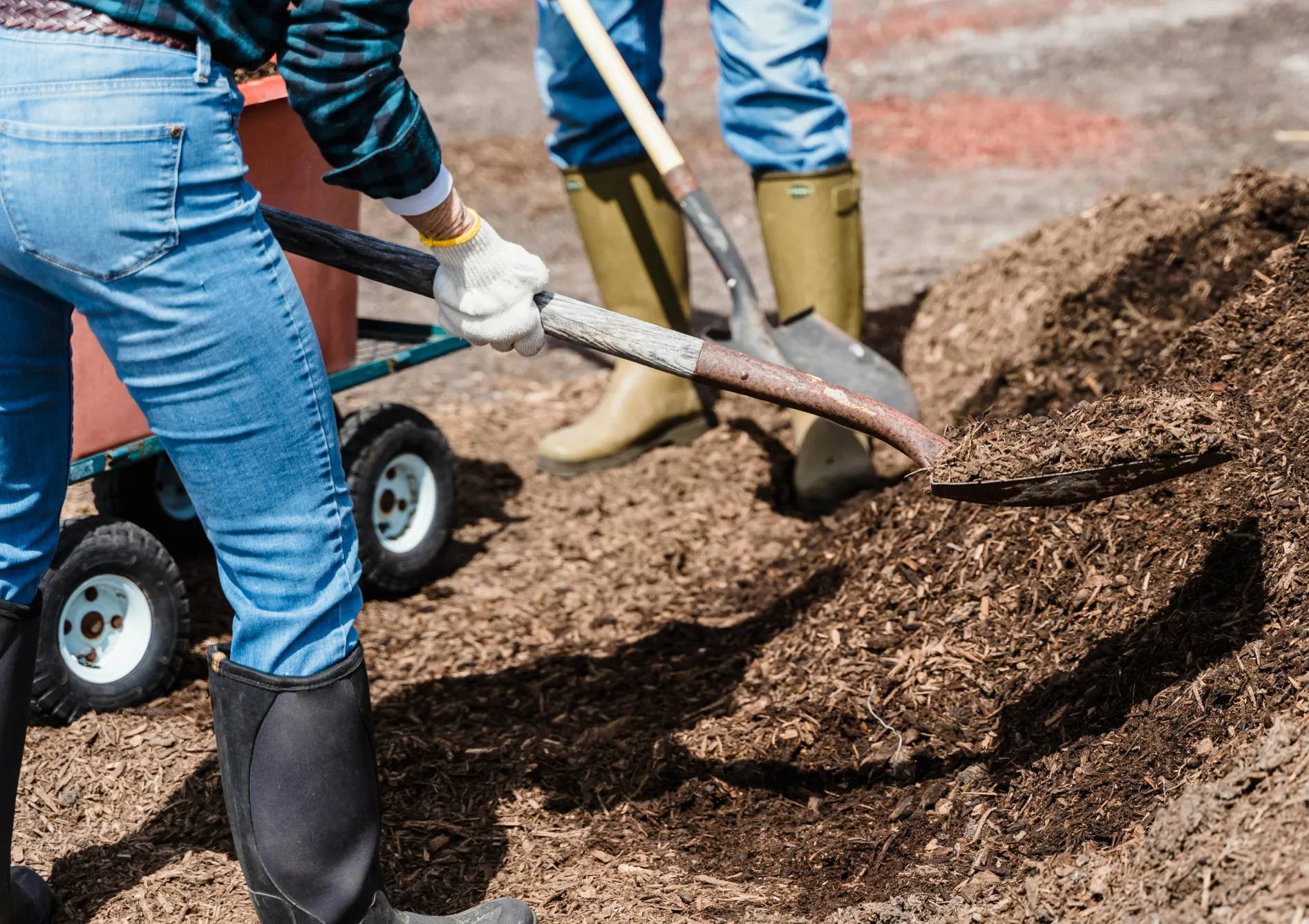Conseils pour prolonger la floraison dans votre jardin Conseils pour prolonger la floraison dans votre jardin