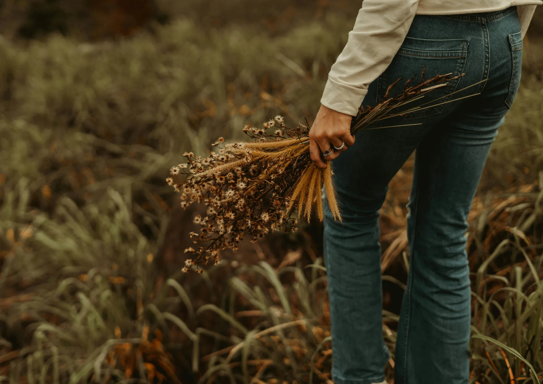 Transplanter les fleurs dans le jardin Transplanter les fleurs dans le jardin