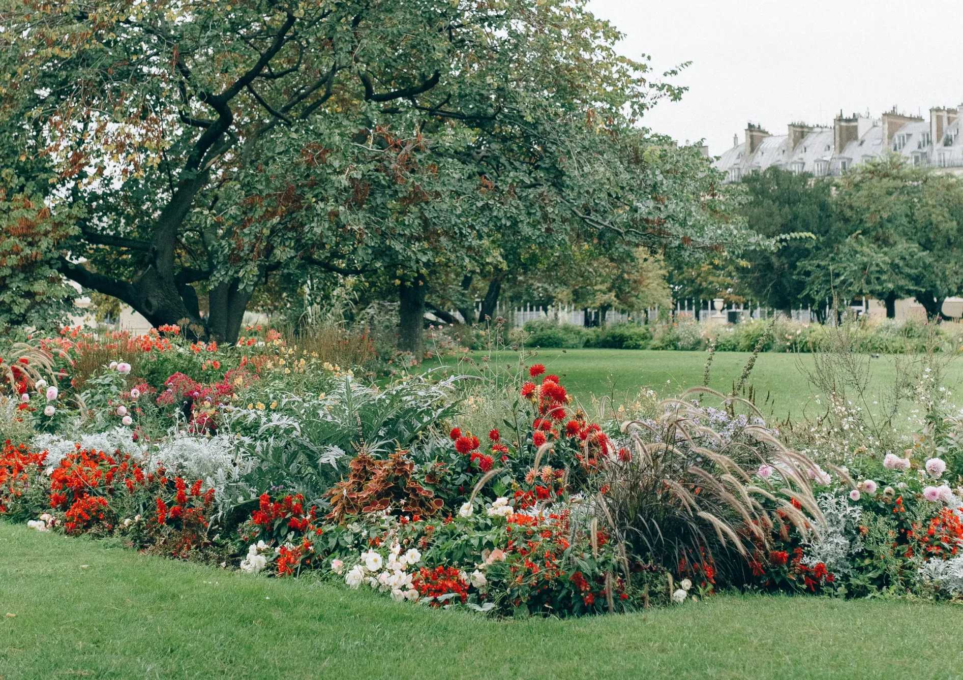 Astuces pour un jardin de rocaille réussi