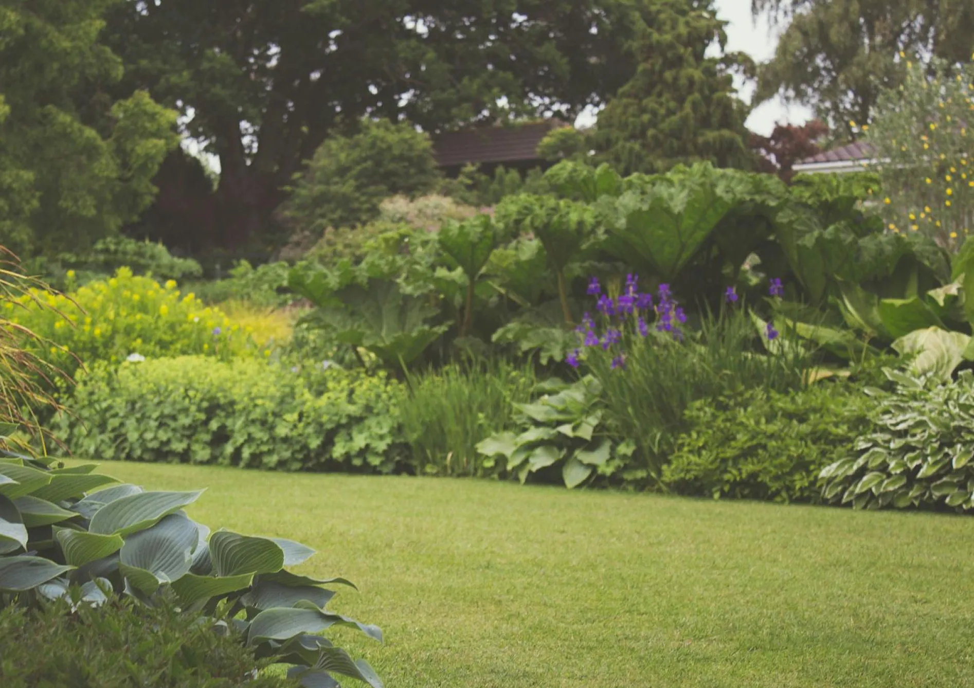 Pourquoi choisir une haie brise-vue ? Pourquoi choisir une haie brise-vue ?