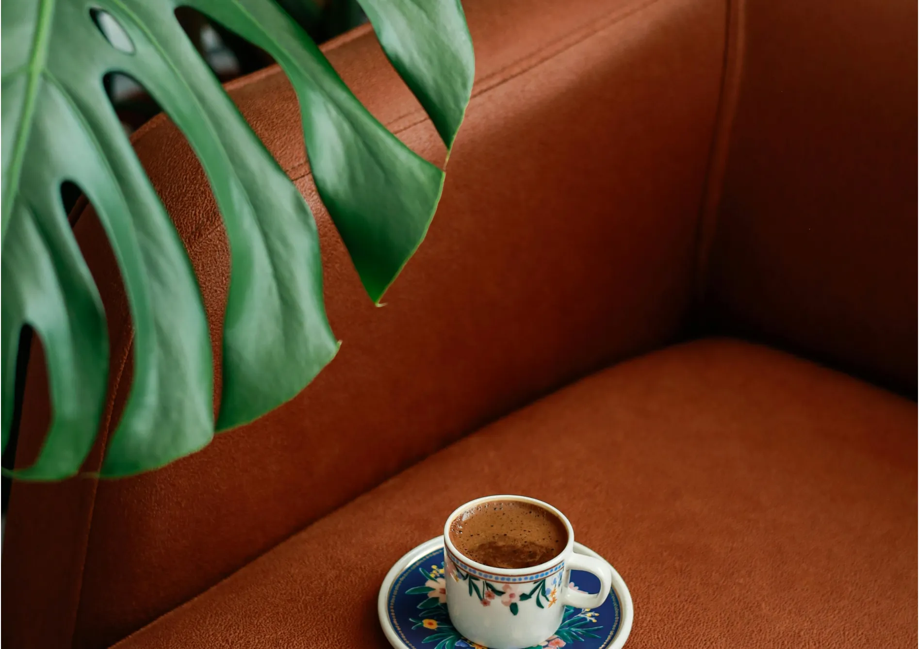 Cycle de floraison de la plante Cycle de floraison de la plante