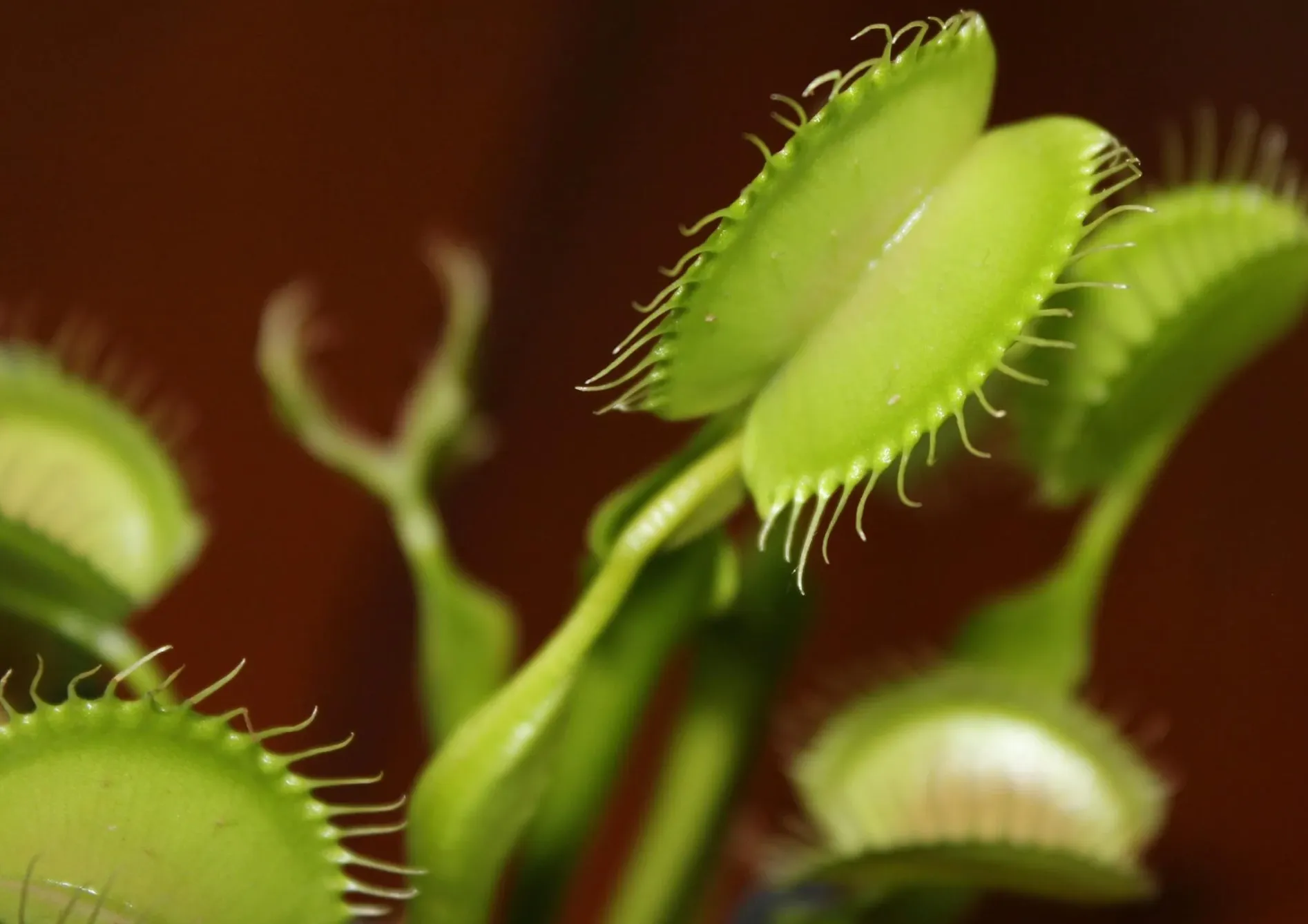 Problèmes courants et solutions pour les débutants Problèmes courants et solutions pour les débutants