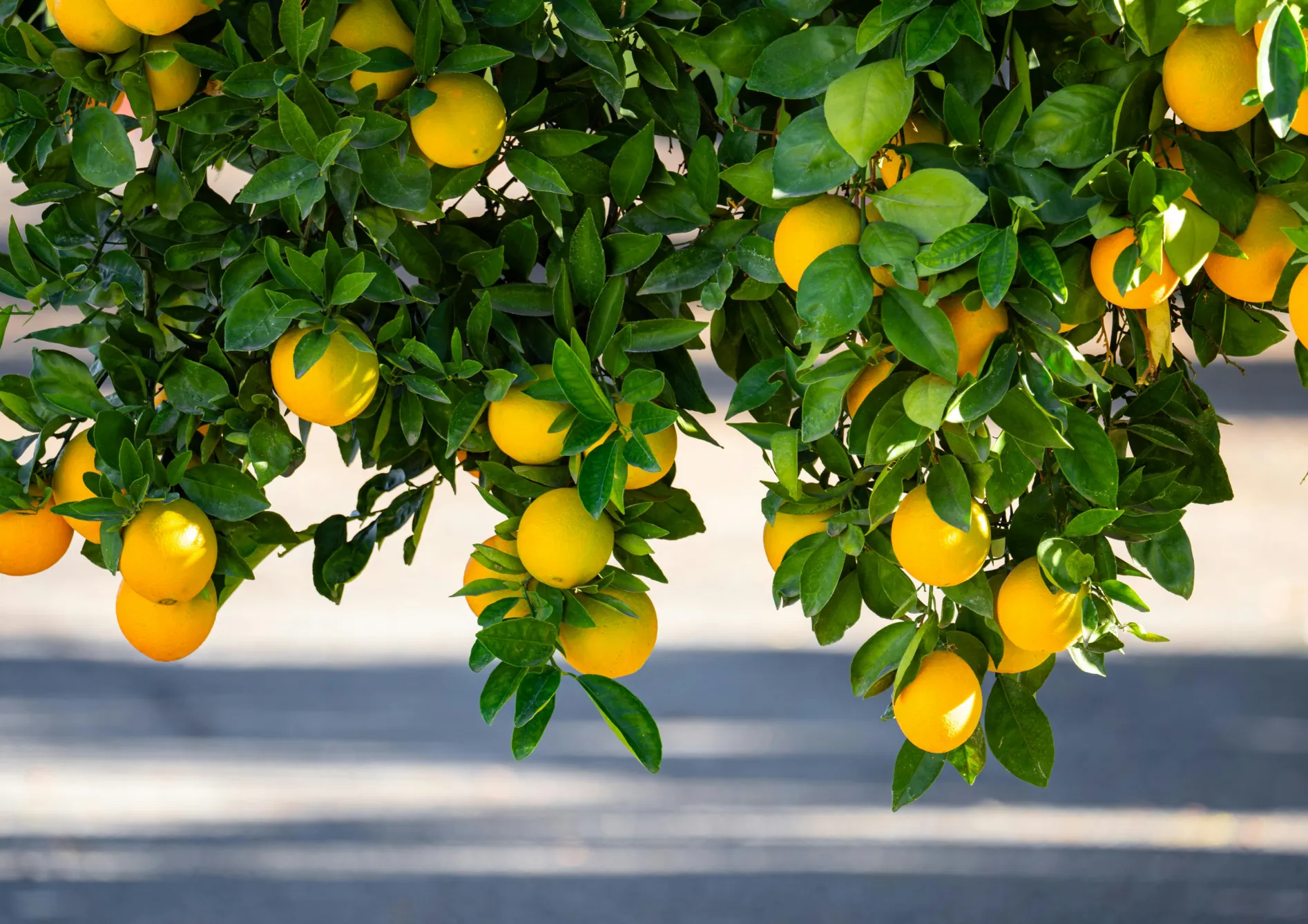 Problèmes courants et solutions Problèmes courants et solutions