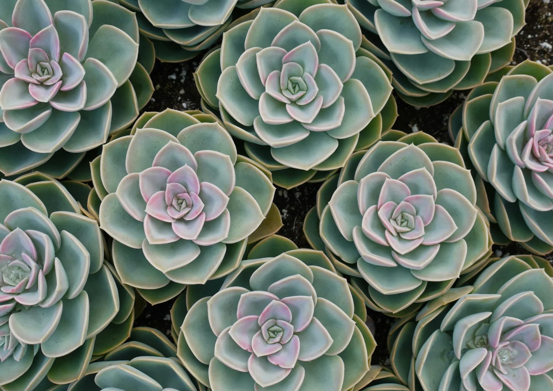 Problèmes courants et solutions Problèmes courants et solutions